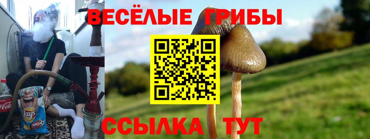 Псилоцибиновые грибы Cubensis Советск